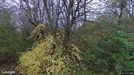Lejlighed til leje, Brønshøj, &lt;span class=&quot;blurred street&quot; onclick=&quot;ProcessAdRequest(1262758)&quot;&gt;&lt;span class=&quot;hint&quot;&gt;Se vej-navn&lt;/span&gt;[xxxxxxxxxx]&lt;/span&gt;